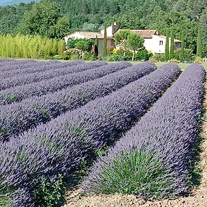 Mas De Longuefeuille Malaucène